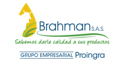 Brahman